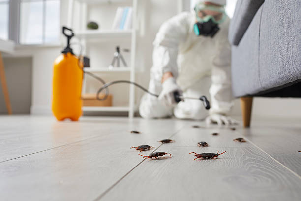 Post-Treatment Bed Bug Interceptor Monitoring in Portage