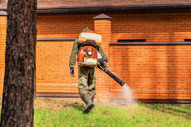 Bed Bug Clearance Verification and Documentation in Portage
